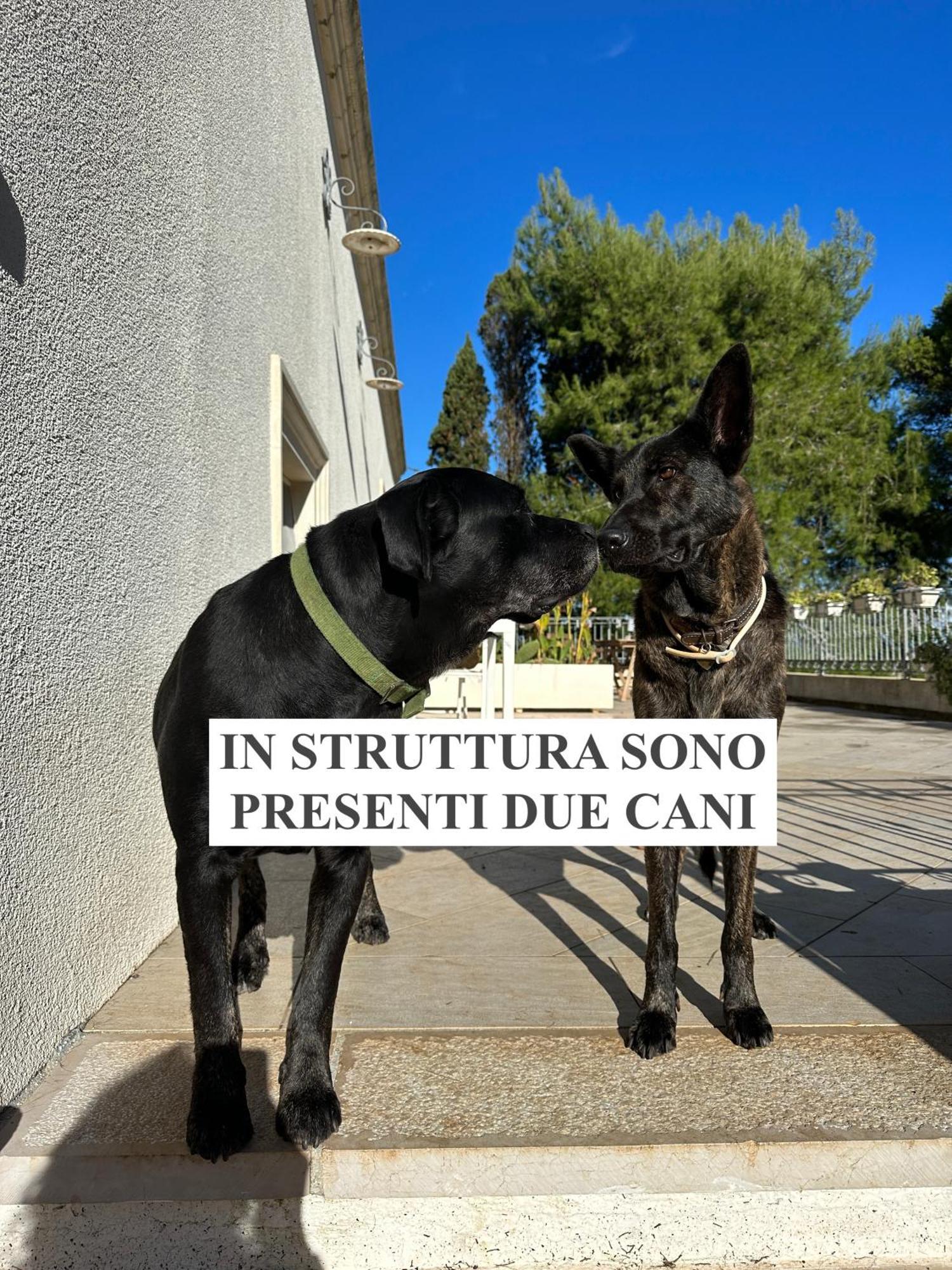 La Dimora Di Ulisse Lejlighedshotel Santa Cesarea Terme Eksteriør billede