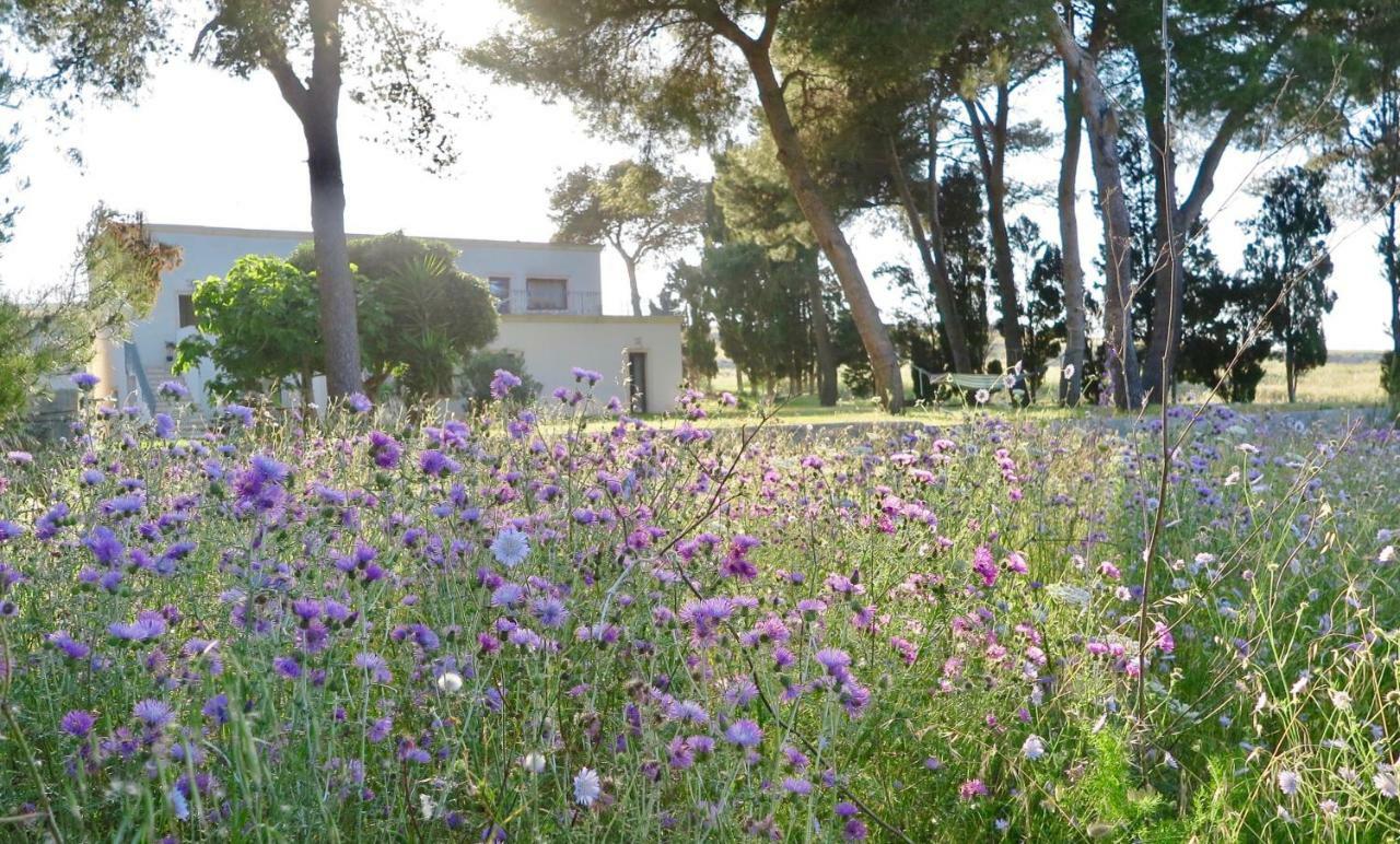 La Dimora Di Ulisse Lejlighedshotel Santa Cesarea Terme Eksteriør billede